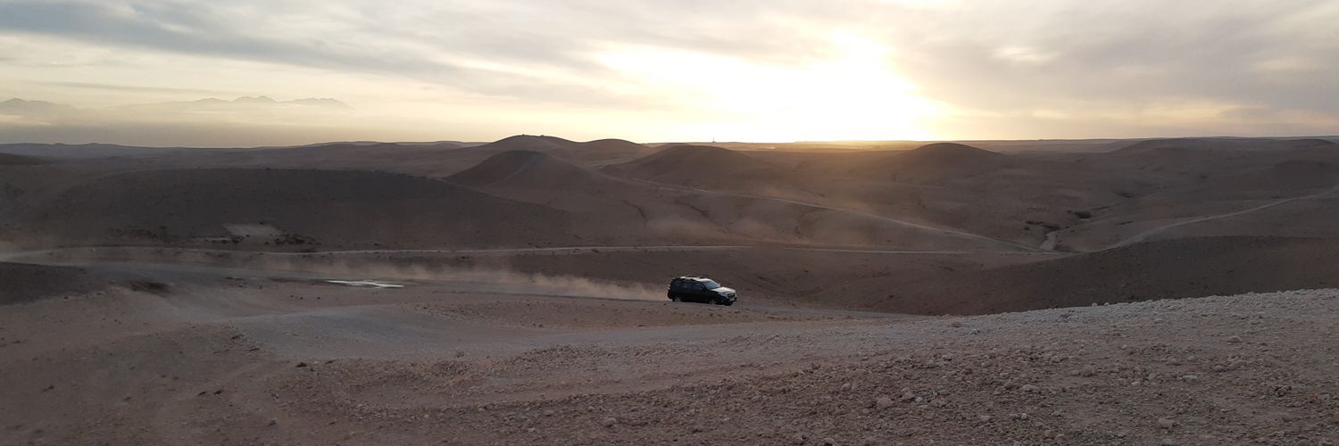 Dario A. Michielini banner