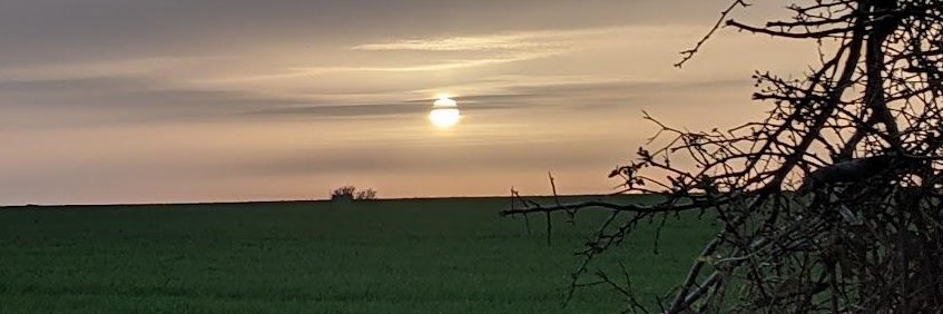 MartinBoers's profile banner image