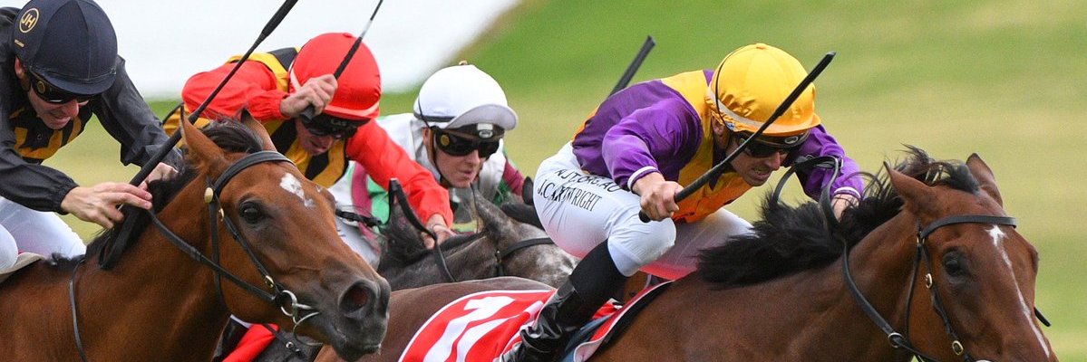 josh cartwright banner