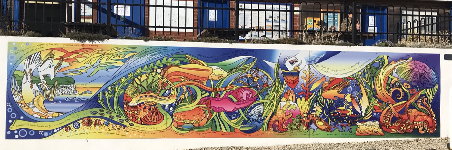 Clare P 🌥 🌻 banner