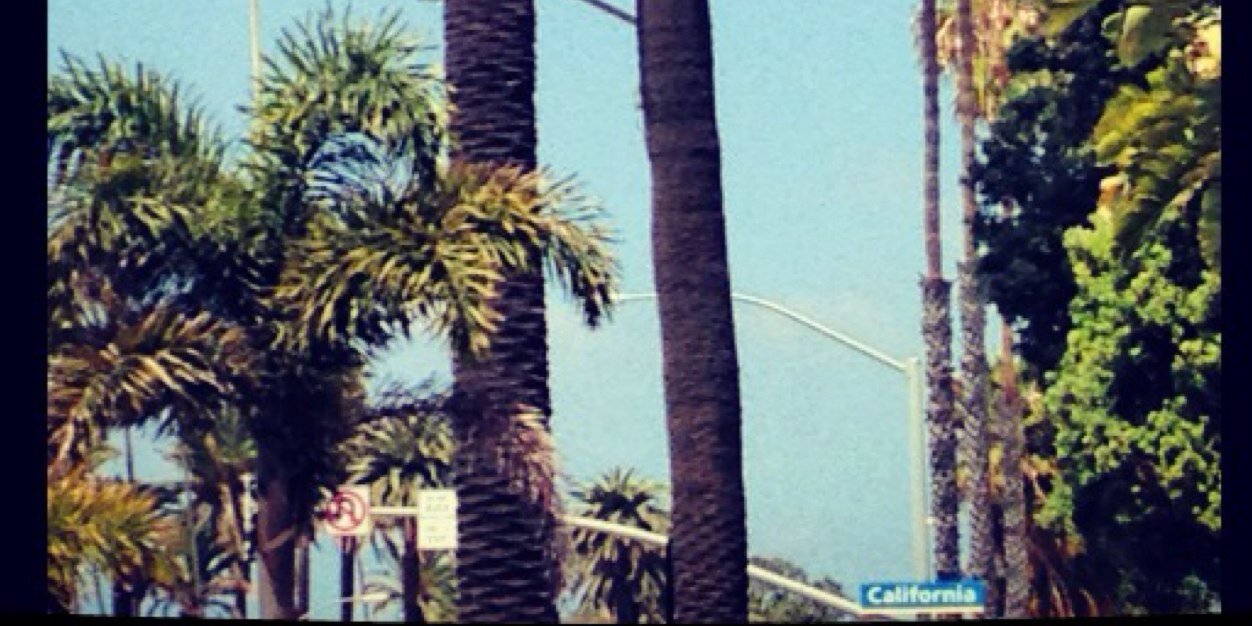 Alinaxox's profile banner image