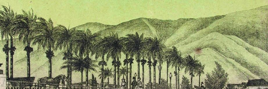 María RamirezDelgado banner