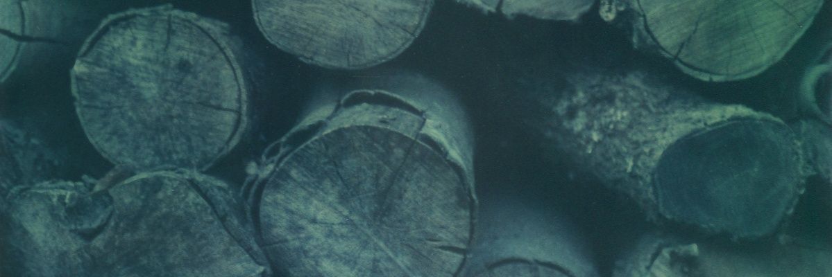 pepesam's profile banner image