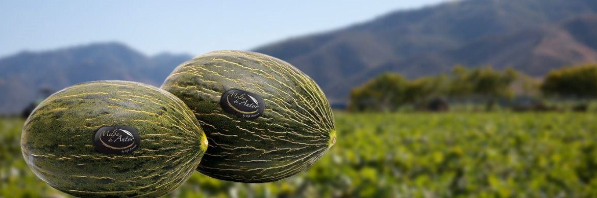 MelondeAutor's profile banner image