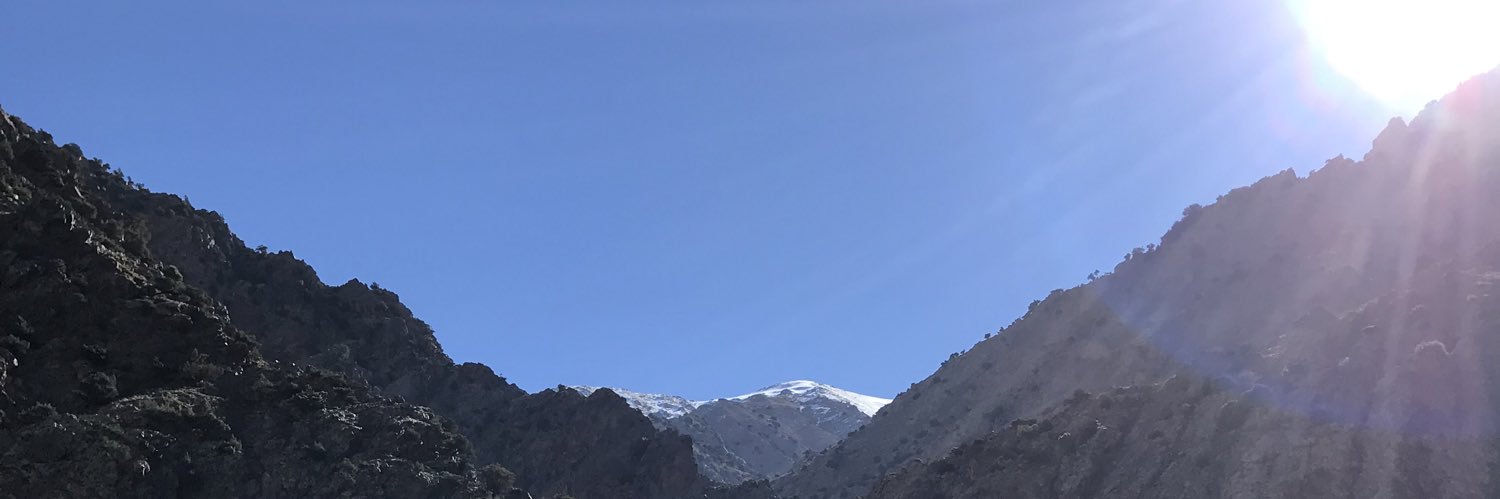 Daniel Williams banner