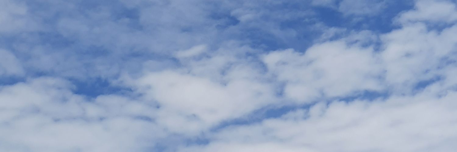 wolfkkaa's profile banner image