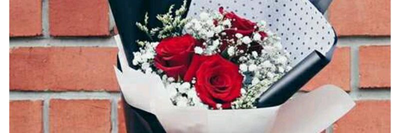 ChiityP's profile banner image