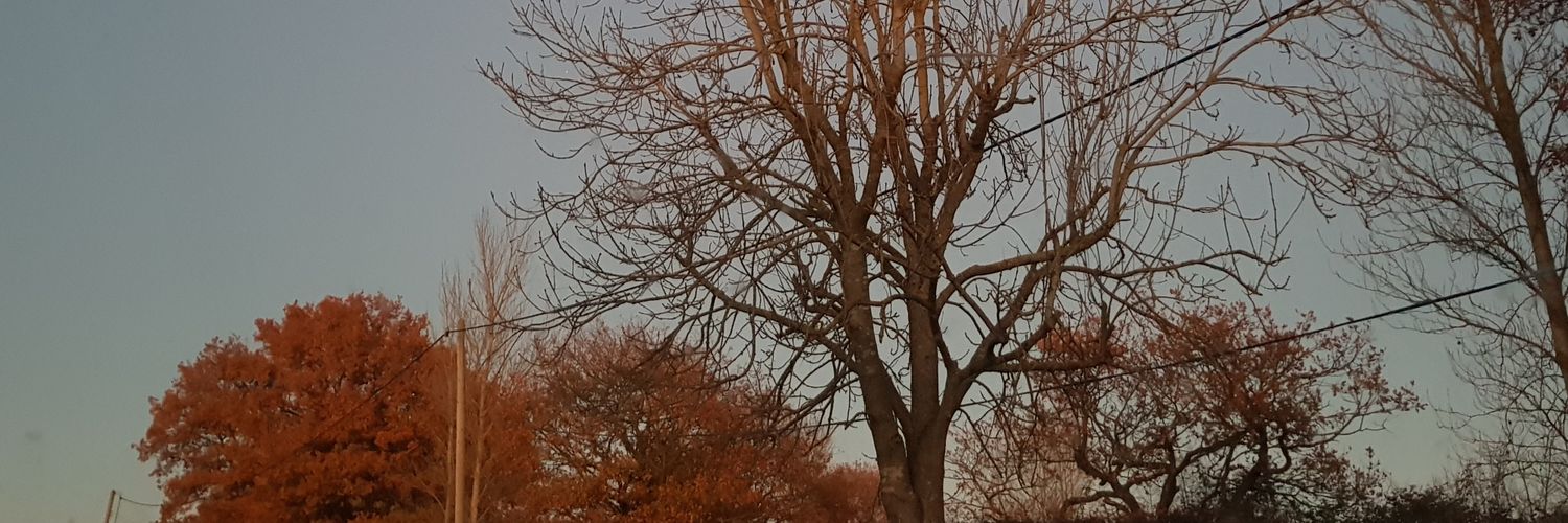 _Julian210's profile banner image