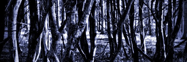 Duncan Bennett banner