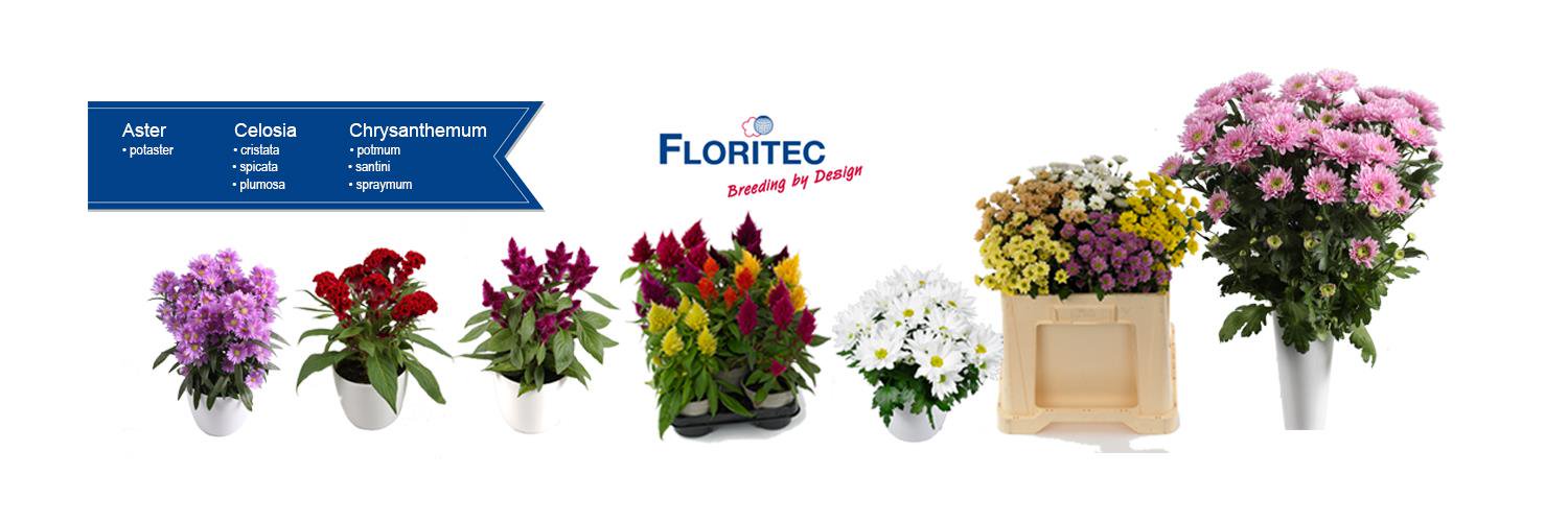 Floritec banner