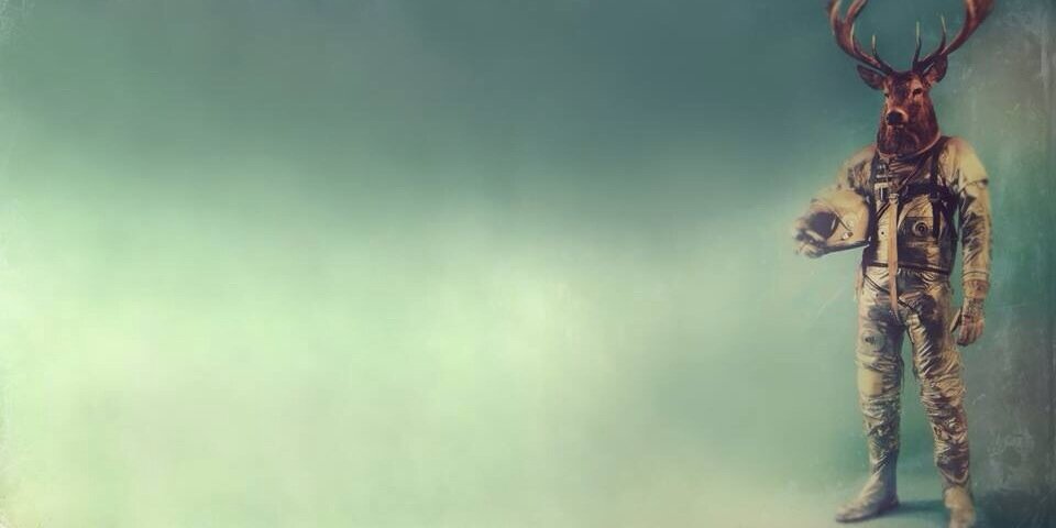 Stenefjall's profile banner image