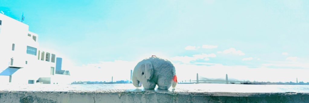 ももやま banner