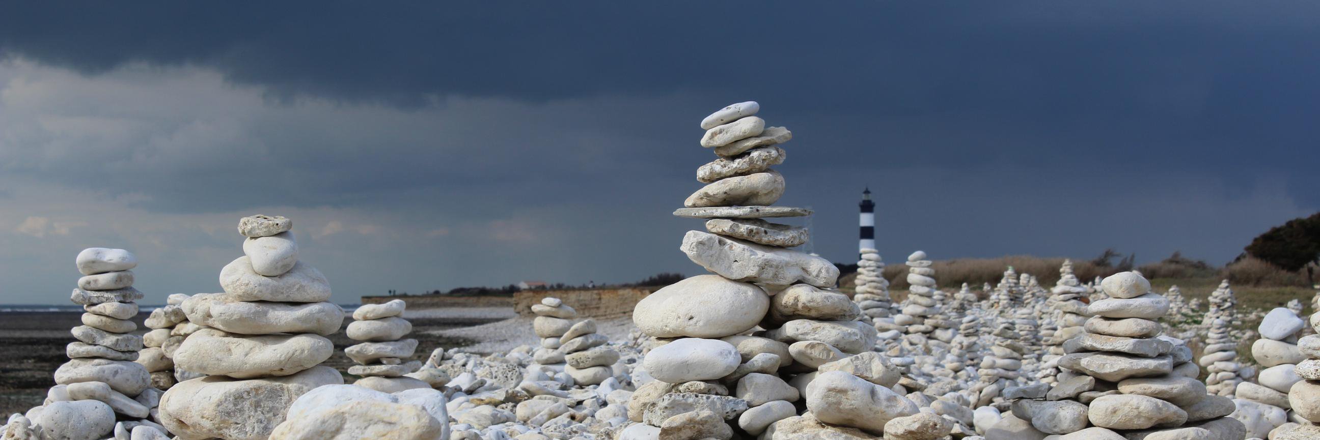 Carole André banner