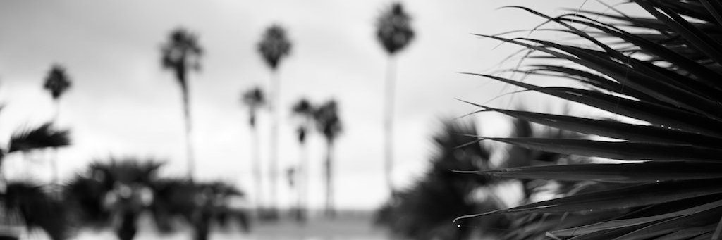 AndaDC3's profile banner image