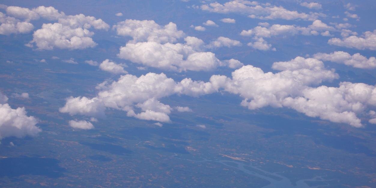 Haylee banner