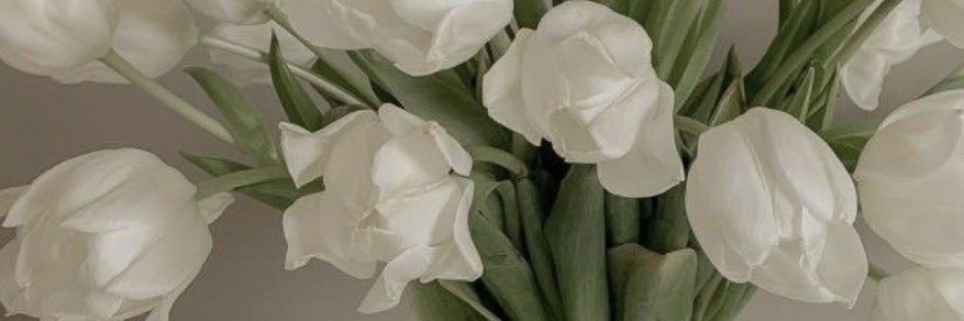 _albagg's profile banner image