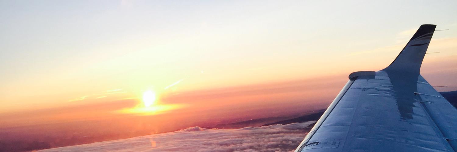 Robin Chan ❄️ banner