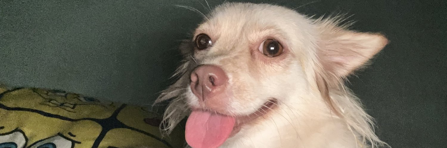 joycerocero's profile banner image