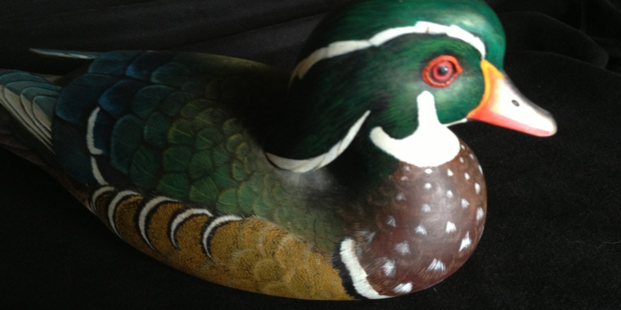 Duck 🦆 Nelson 🐀 banner