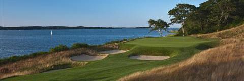 Dave Griesbauer banner