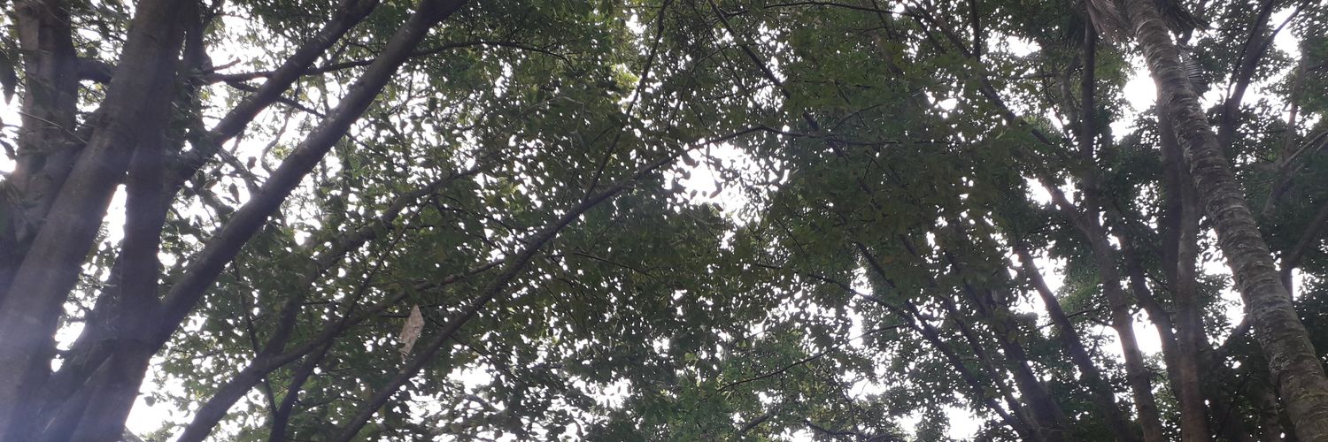 fadhilckk's profile banner image