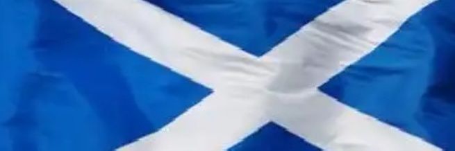 Melisa Bishop banner