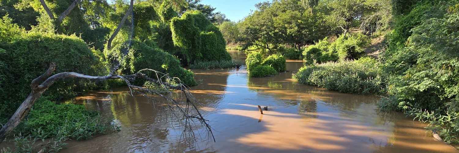 Martin Braillard Poccard banner