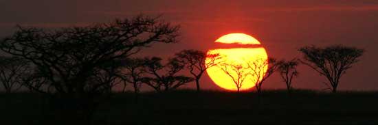 Noreen Reenie banner