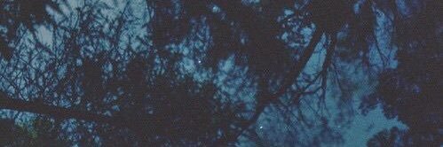 THELINDABRAND's profile banner image