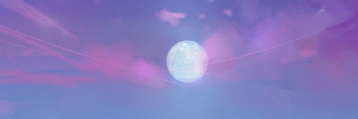 kingtails_'s profile banner image