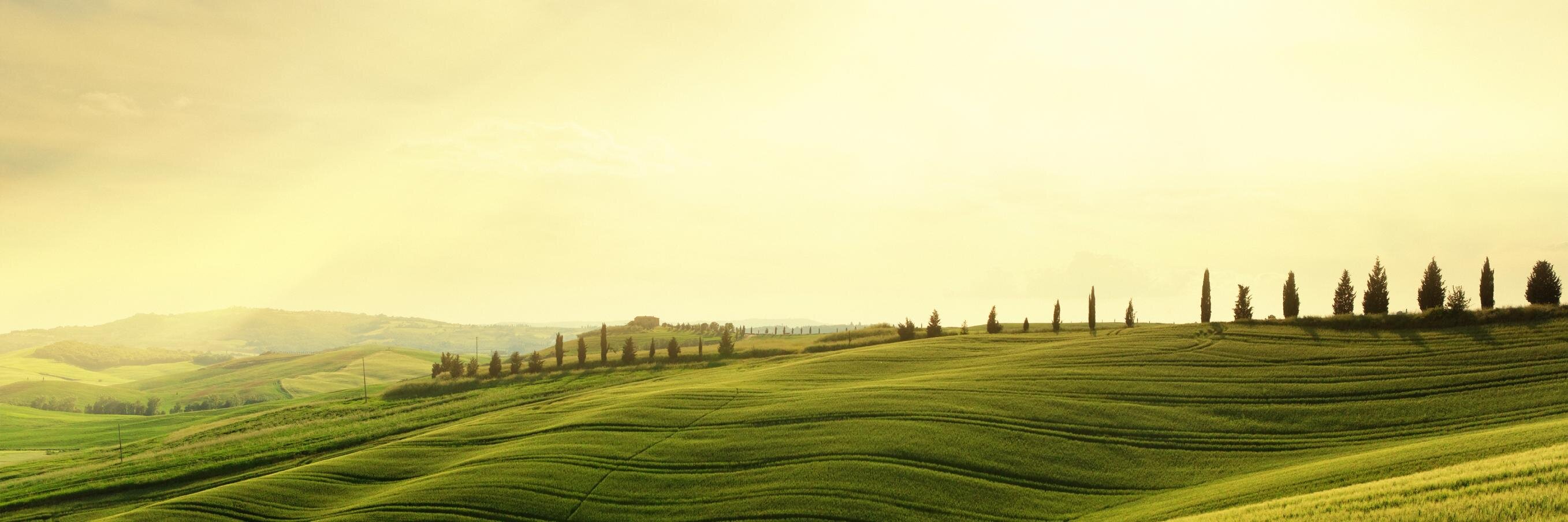 RJMerrett's profile banner image