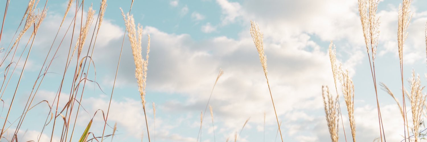 lovelyshe_'s profile banner image