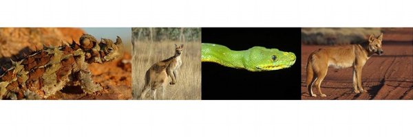 EuanRitchie1 Profile Banner