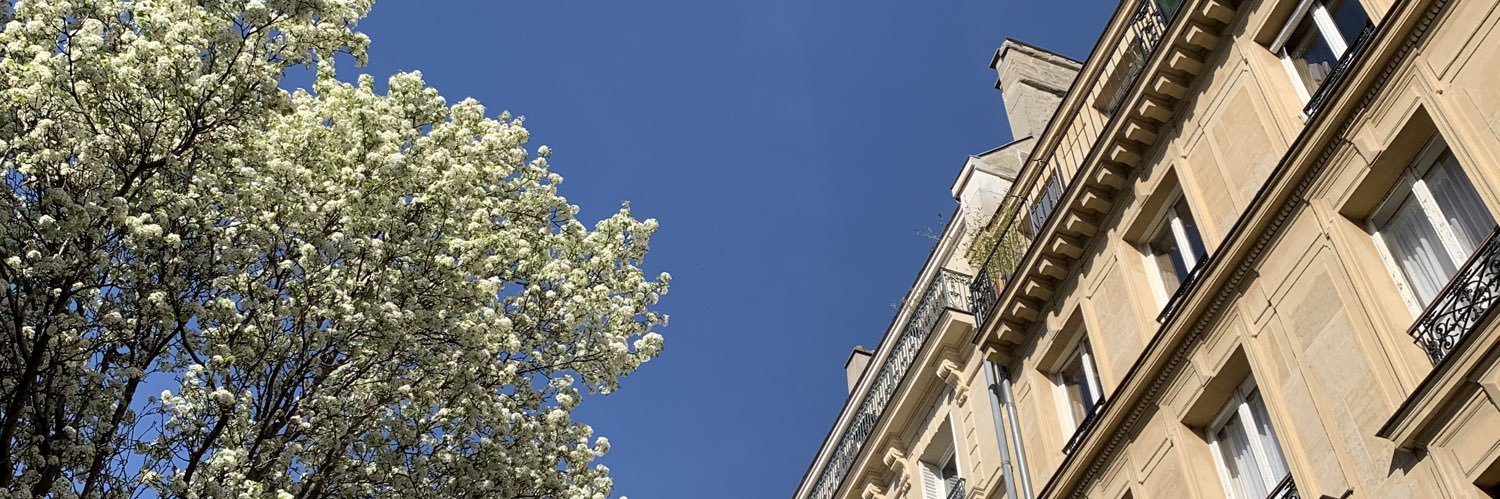 Albertina Torsoli banner