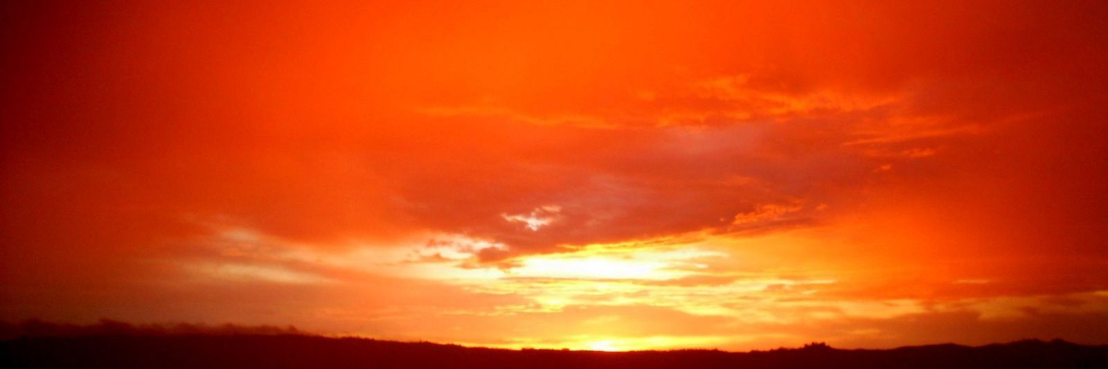yramirez6's profile banner image