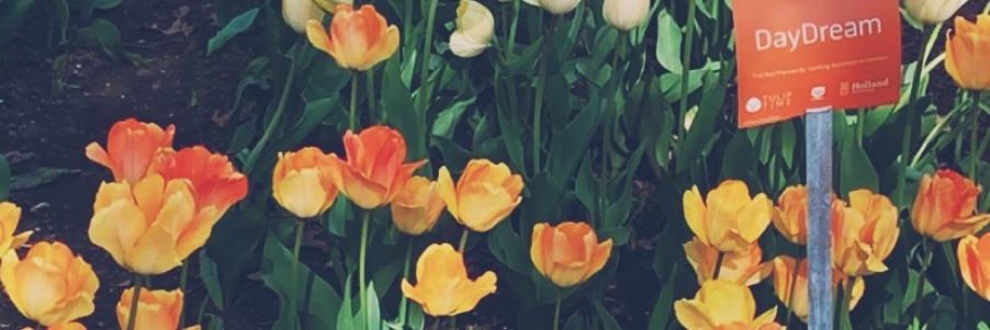 emibeauds's profile banner image