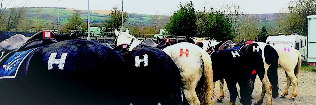 SHU Equestrian banner