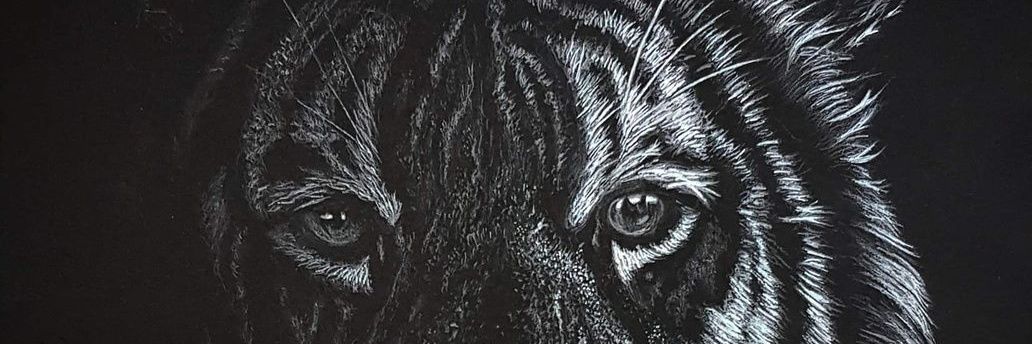 kobi012's profile banner image
