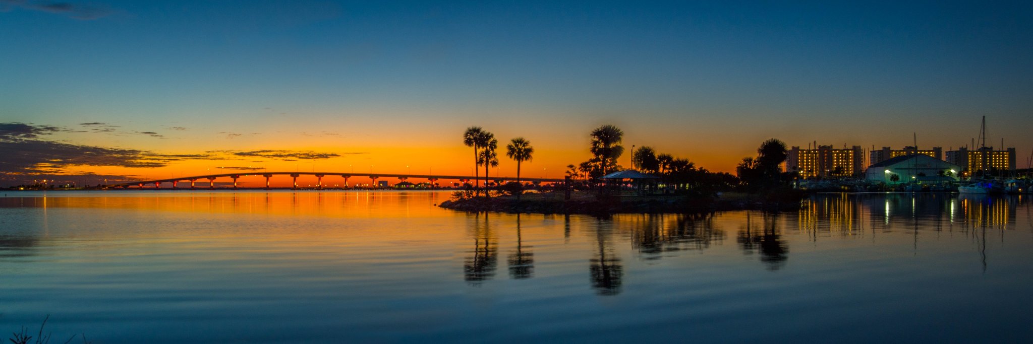 Suzanne Schultz Pick banner