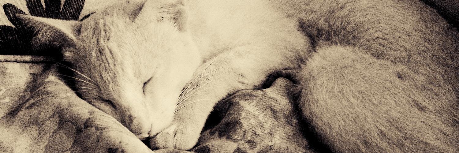 portrayitblack's profile banner image