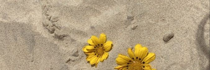 xpBia_'s profile banner image