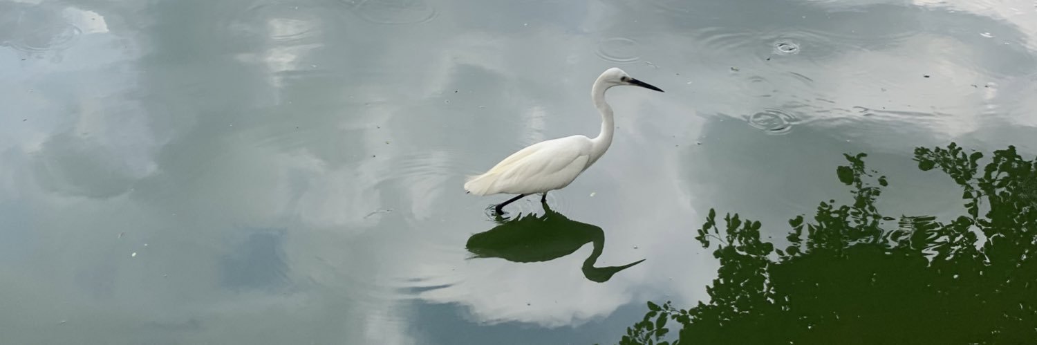 PBWWDC's profile banner image