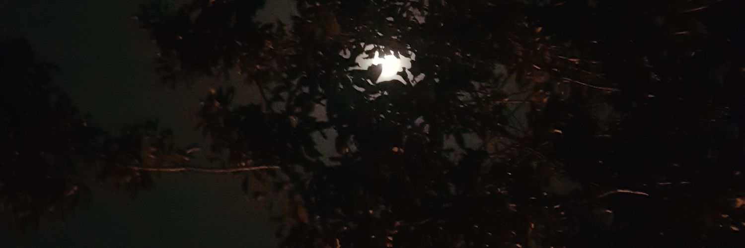 st4pler__'s profile banner image