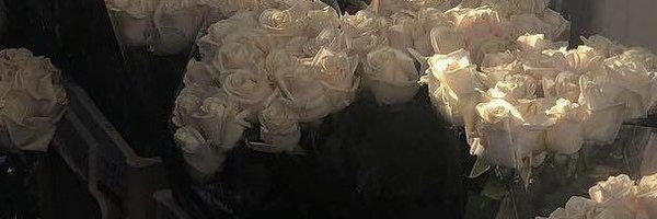 cinnamongirlc Profile Banner