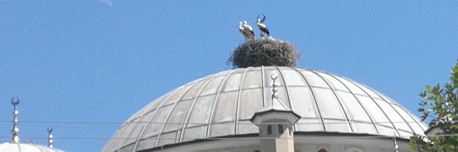 volkan_yahsi's profile banner image
