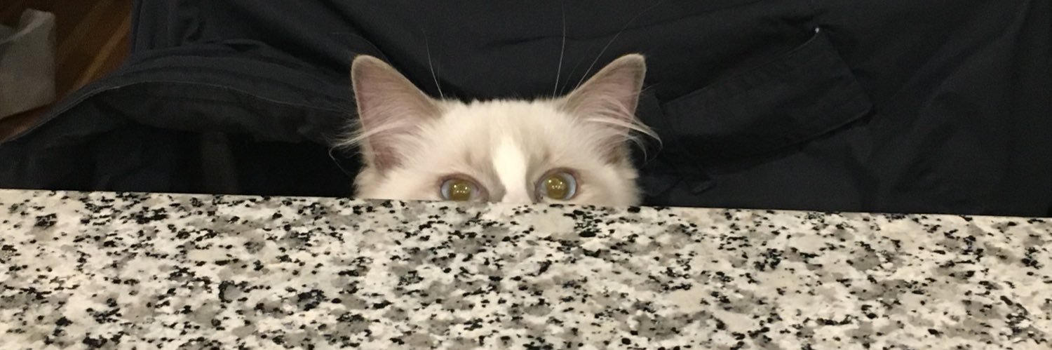 JenTwitchell's profile banner image