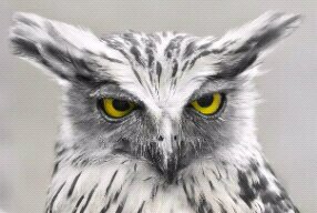 bwngetdah's profile banner image