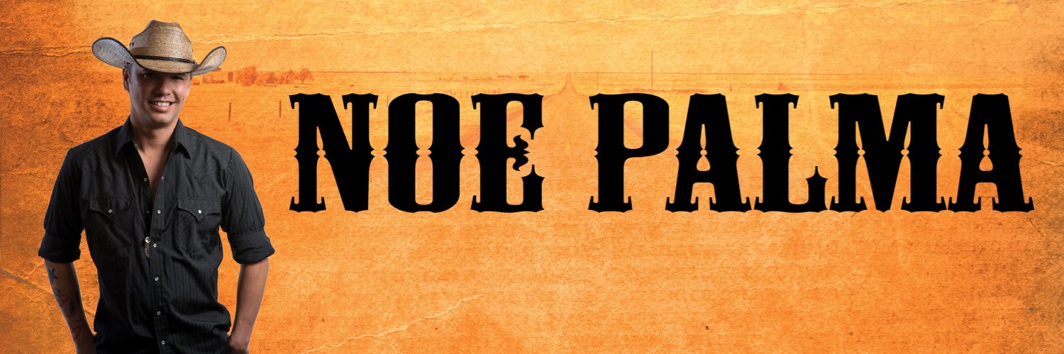 Noe Palma banner