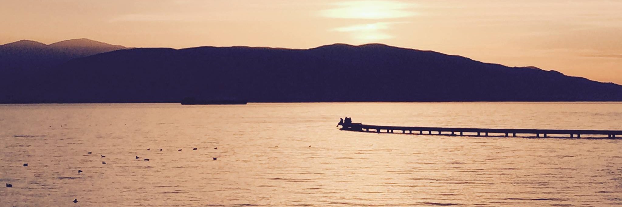 korurer's profile banner image