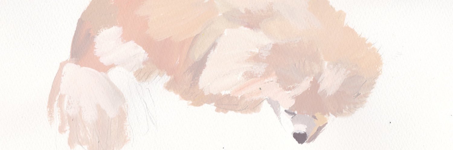 kzt522's profile banner image